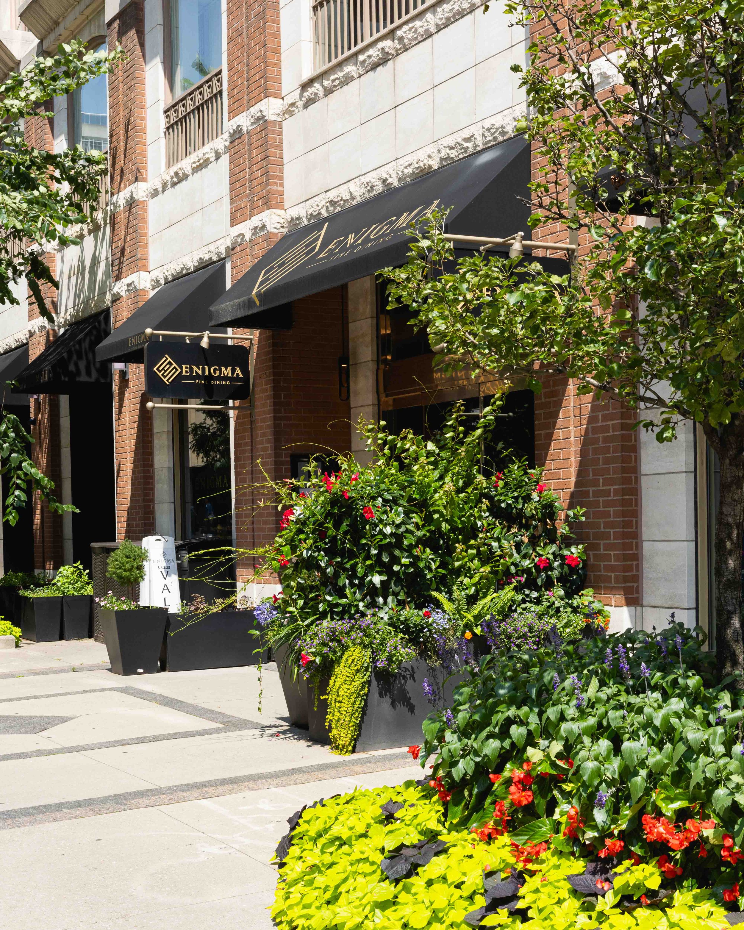 Enigma Yorkville